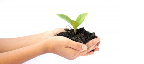 Plant Trees & Save Earth